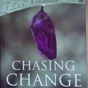 Chasing Change: Building Organizational Capacity in a Turbulent Environment