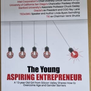 The Young Aspiring Entrepreneur