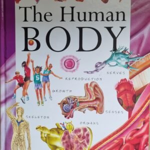 All About The Human Body