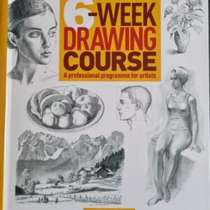 6-Week Drawing Course: A Professional Programme For Artists