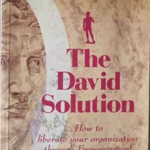 The David Solution: How To Liberate Your Organisation Through Empowerment by Valerie Stewart