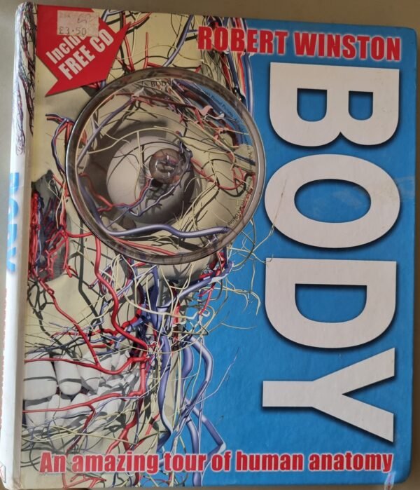 Body: An Amazing