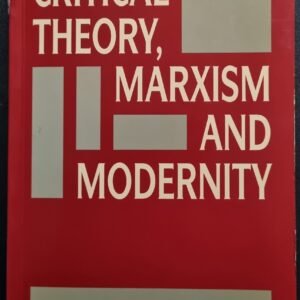 Critical Theory, Marxism And Modernity by Douglas Kellner