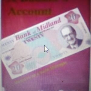 A Banker's Account: Reflections of a Bank Manager