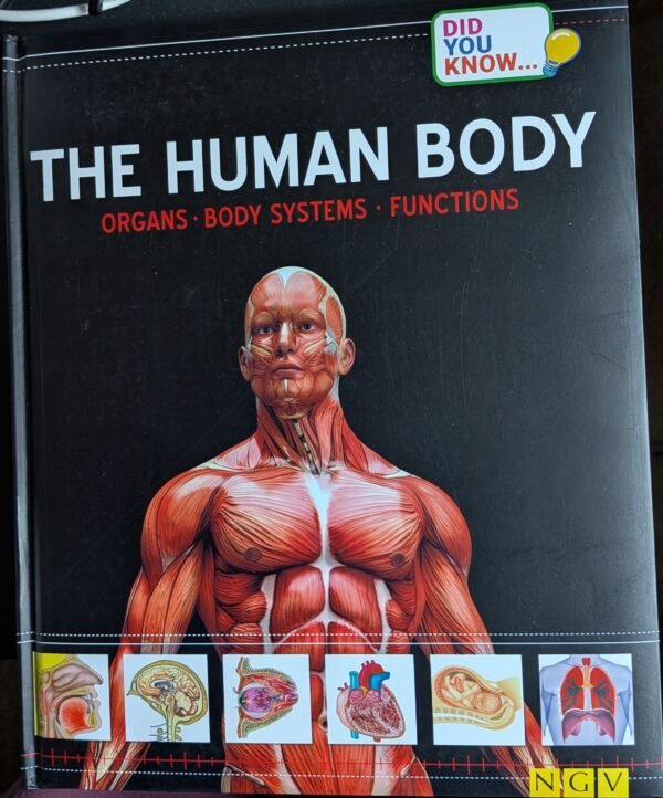The Human Body: Organs, Body Systems. Functions