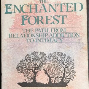 The Enchanted Forest: The Path From Relationship Addiction To Intimacy by Stephanie Covington and Nina Beckett